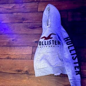 Men’s Hollister Hoodie